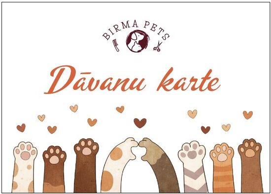 Dāvanu karte - 100 eiro vērtībā